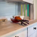 Apartament In 19